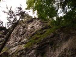 1913-07-05_Regina-F-Rau_Sonnenspitz_Kotalm-Jachenau (115).JPG